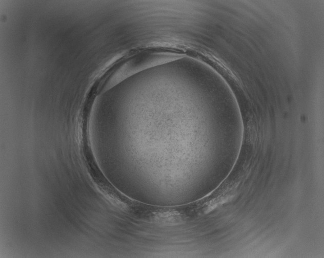 X0000051890446200506241353