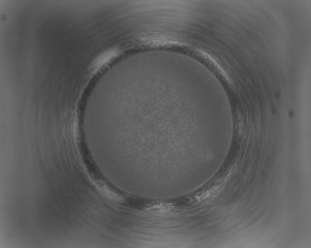 X0000051890447200506241353