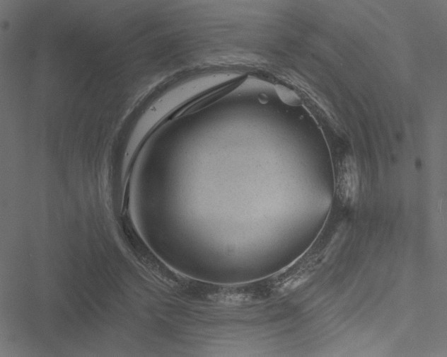 X0000051890448200506241353