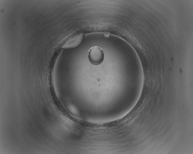 X0000051890450200506241353