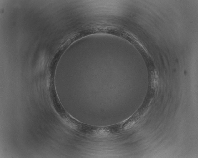 X0000051890451200506241353