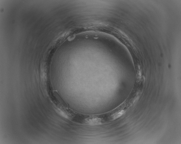 X0000051890452200506241353