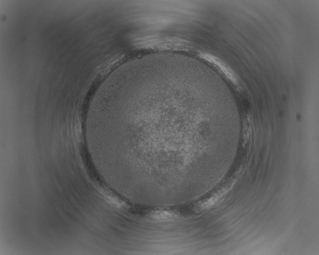 X0000051890453200506241353