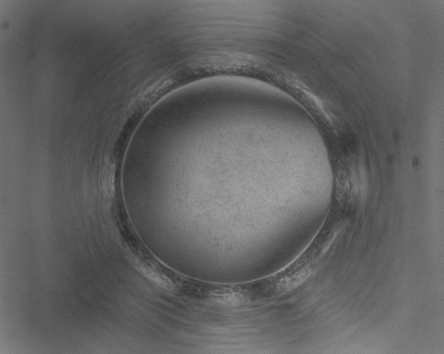 X0000051890454200506241353