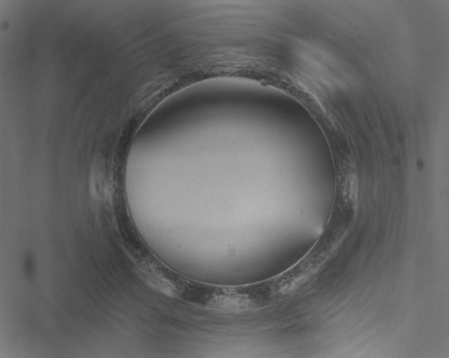 X0000051890455200506241353