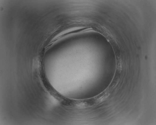 X0000051890456200506241353