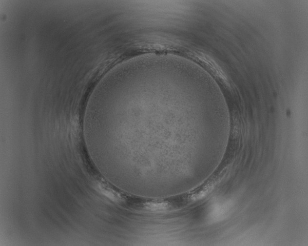 X0000051890457200506241353