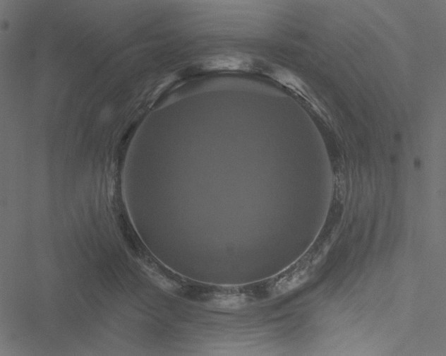 X0000051890458200506241353