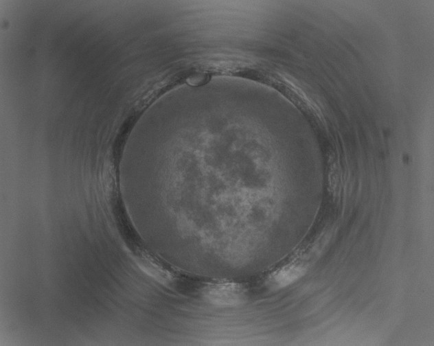 X0000051890459200506241353