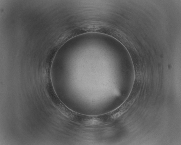 X0000051890460200506241353