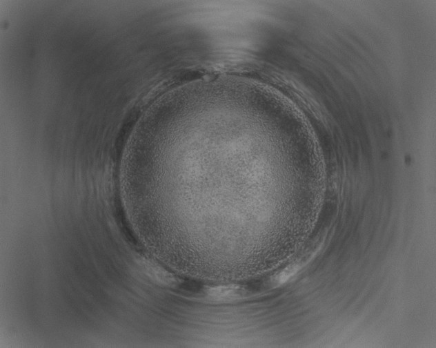 X0000051890461200506241353