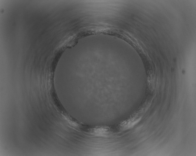 X0000051890462200506241353