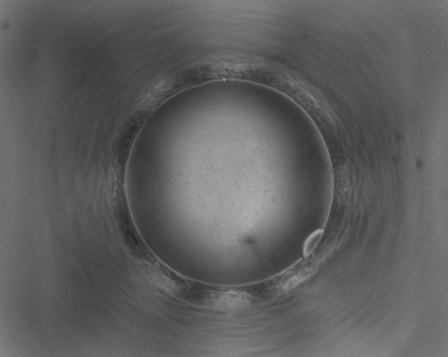 X0000051890463200506241353