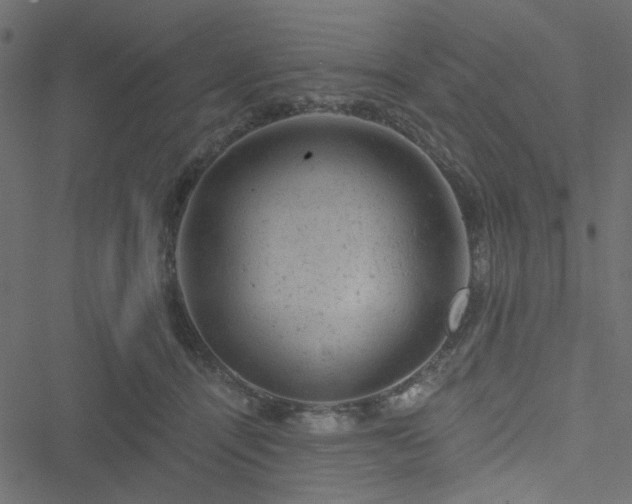 X0000051890464200506241353