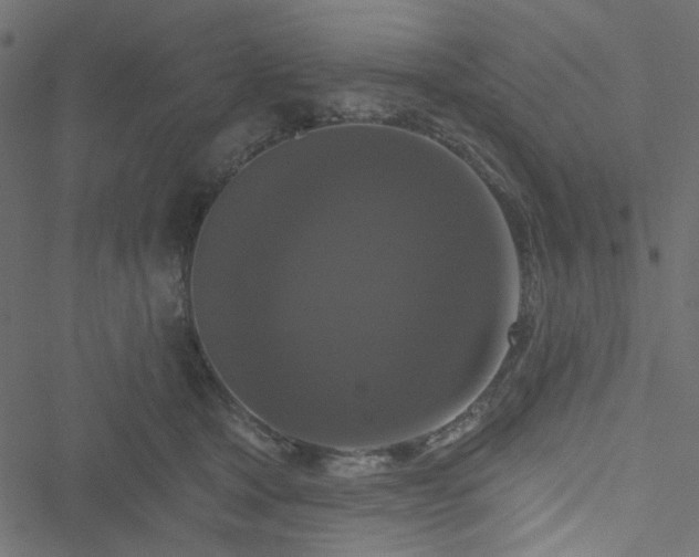 X0000051890465200506241353