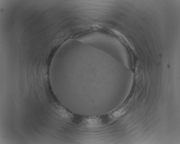 X0000051890466200506241353