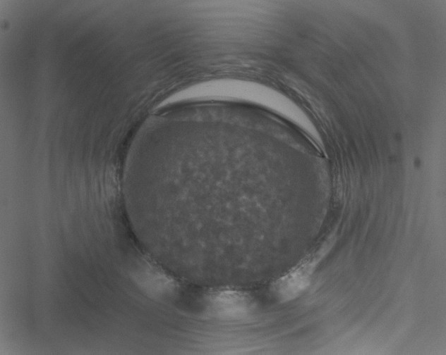 X0000051890467200506241353