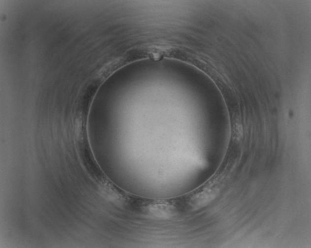 X0000051890468200506241353