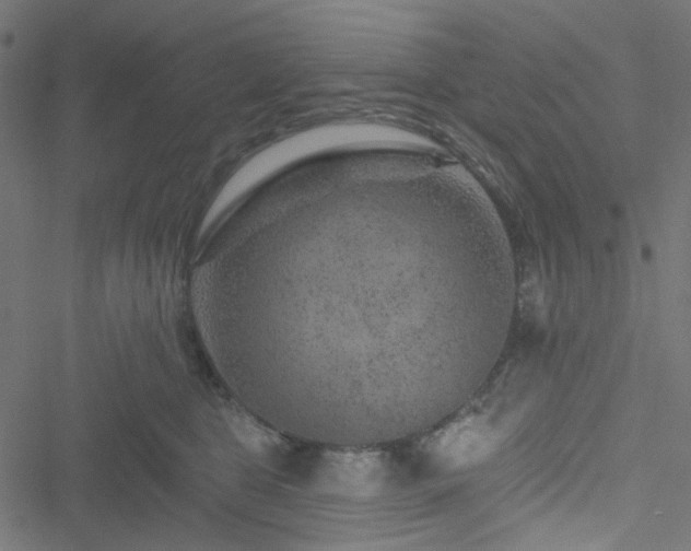 X0000051890469200506241353