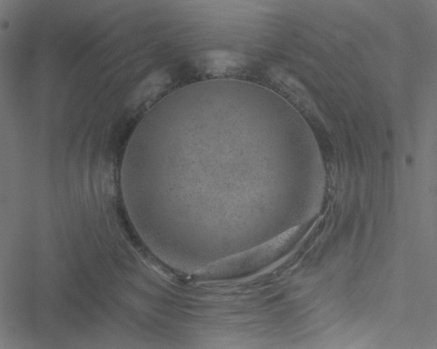 X0000051890470200506241353