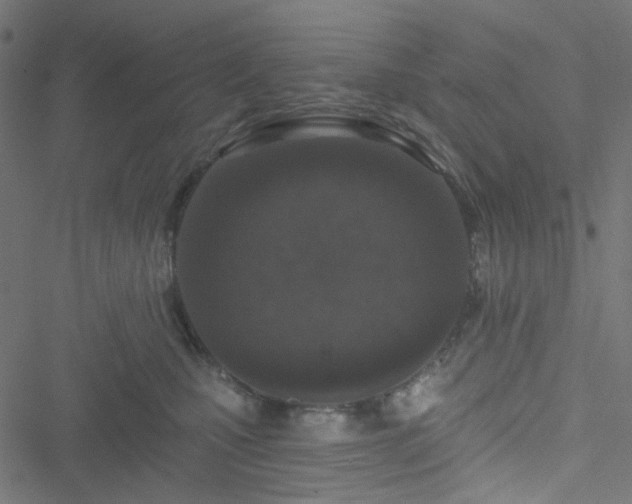 X0000051890471200506241353