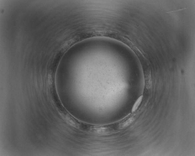 X0000051890472200506241353