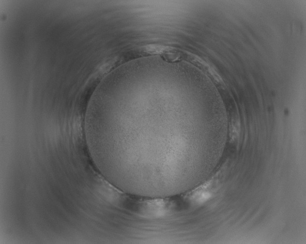 X0000051890473200506241353