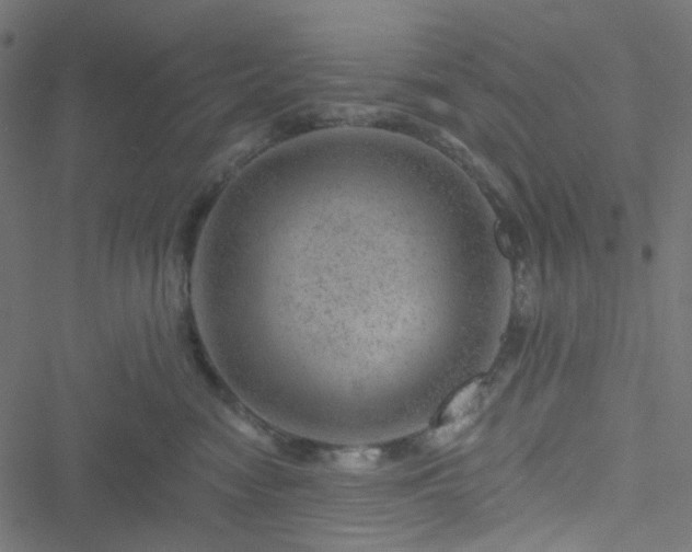 X0000051890474200506241353