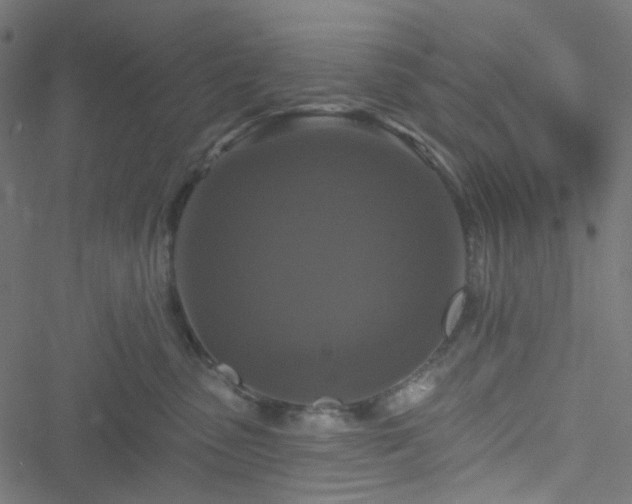 X0000051890475200506241353