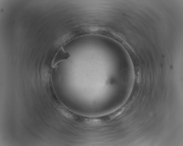 X0000051890476200506241353