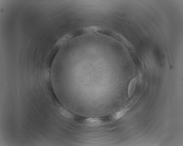 X0000051890477200506241353