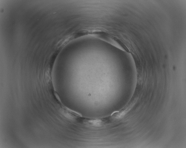 X0000051890478200506241353