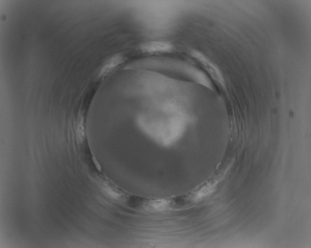 X0000051890479200506241353