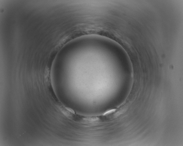 X0000051890480200506241354