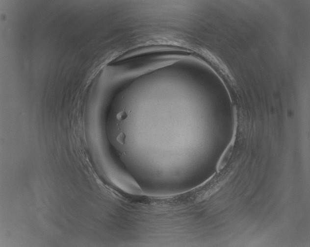 X0000051890481200506241353