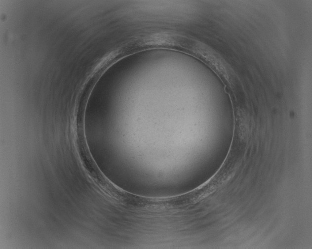 X0000051890482200506241353