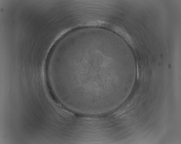 X0000051890483200506241353