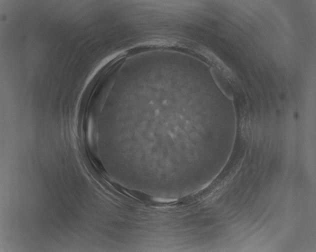 X0000051890484200506241353