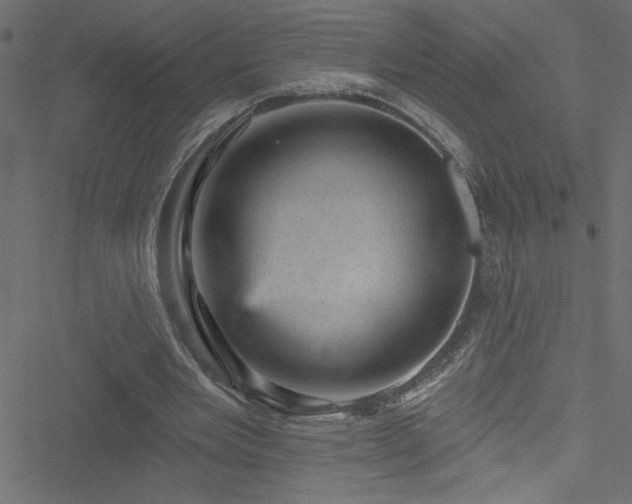 X0000051890485200506241353