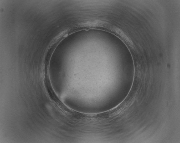 X0000051890486200506241353