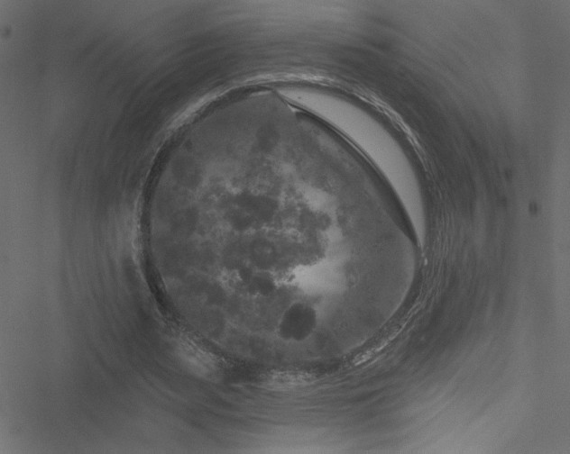 X0000051890487200506241353