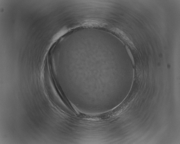 X0000051890488200506241353