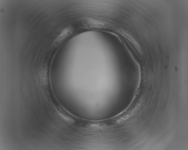 X0000051890489200506241353