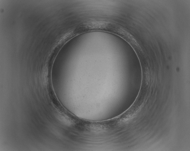 X0000051890490200506241353