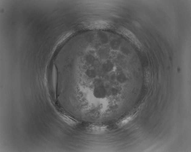 X0000051890491200506241353