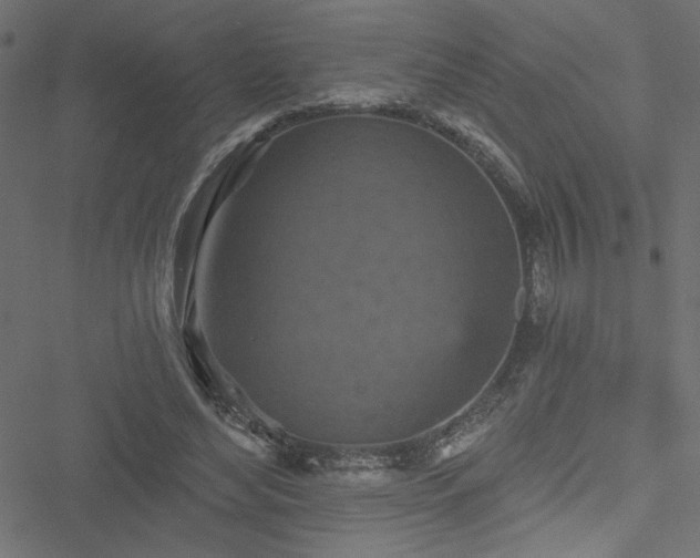 X0000051890492200506241353