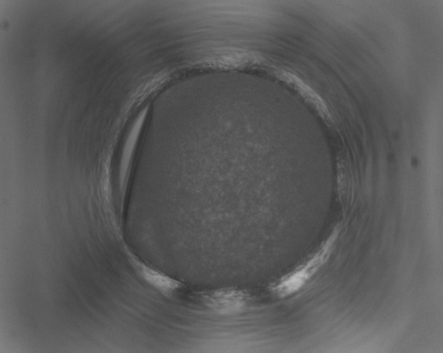 X0000051890493200506241353