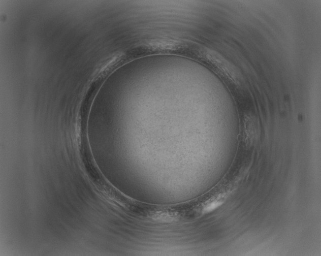 X0000051890494200506241353