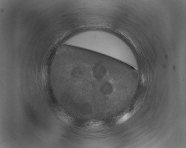 X0000051890495200506241352