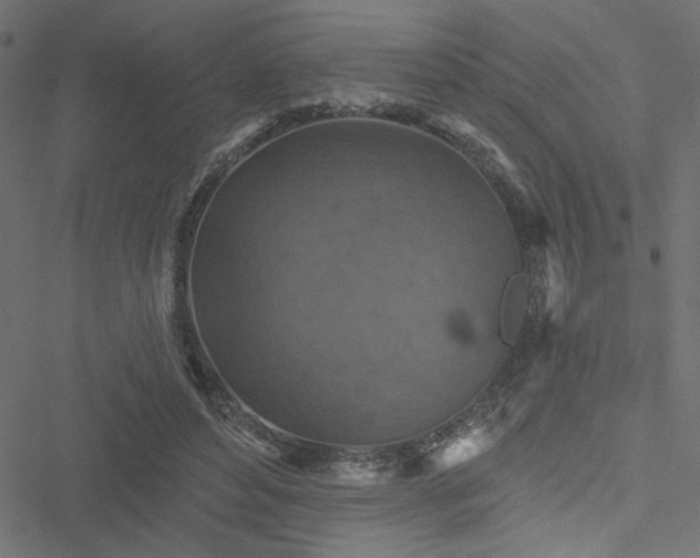 X0000051890496200506241352